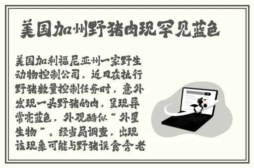24小时免费看B站视频